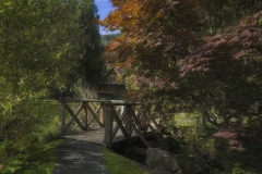small-bridge