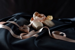 Lynne-Kelman-Ballet-Slippers-and-Silk