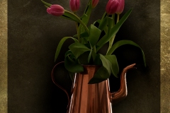 Lynne-Kelman-Tulips-