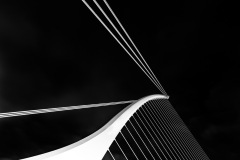 Lines-and-Curves-1